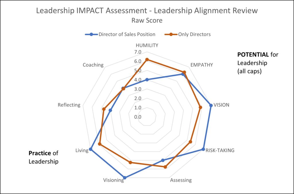 Director of Sales vs Only Directors